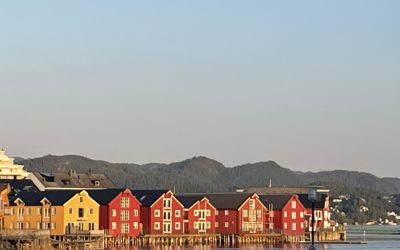 Cap Nord 2025. Ma colo chez les vikings